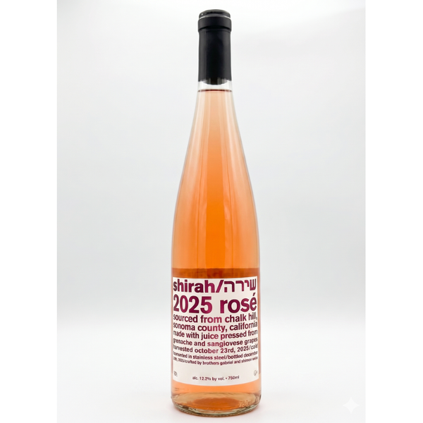 Shirah 2025 rose