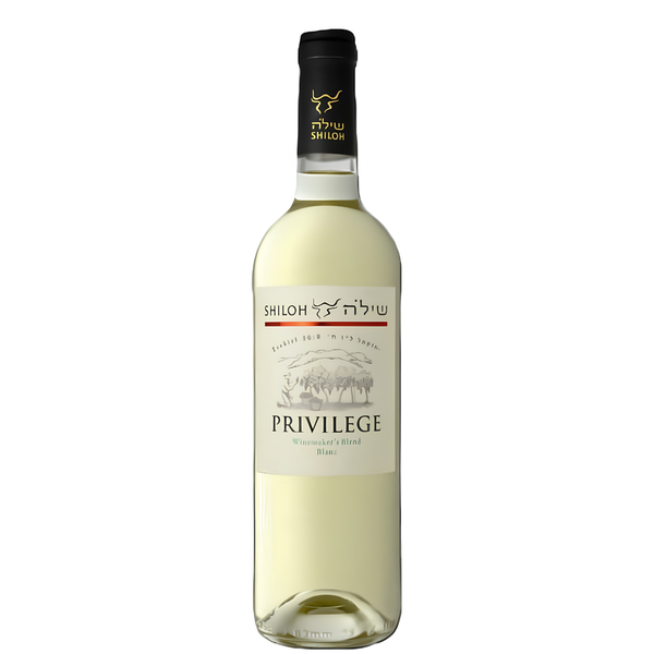 Shiloh Privilege Blanc